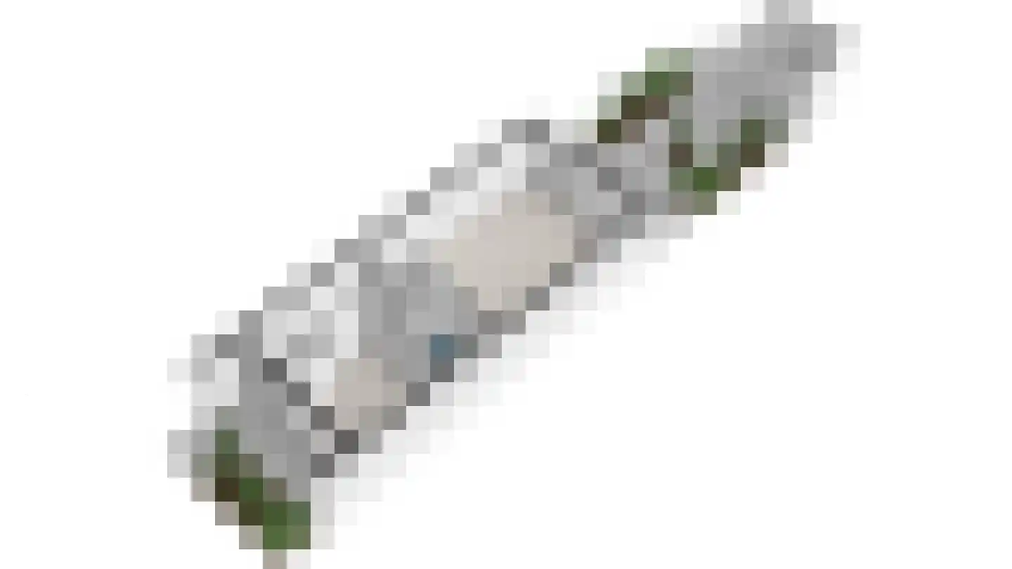 Het Tolland 148 Wateringen thumbnail 38