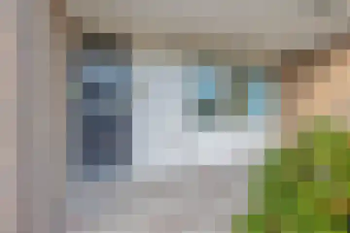 Het Tolland 148 Wateringen thumbnail 4
