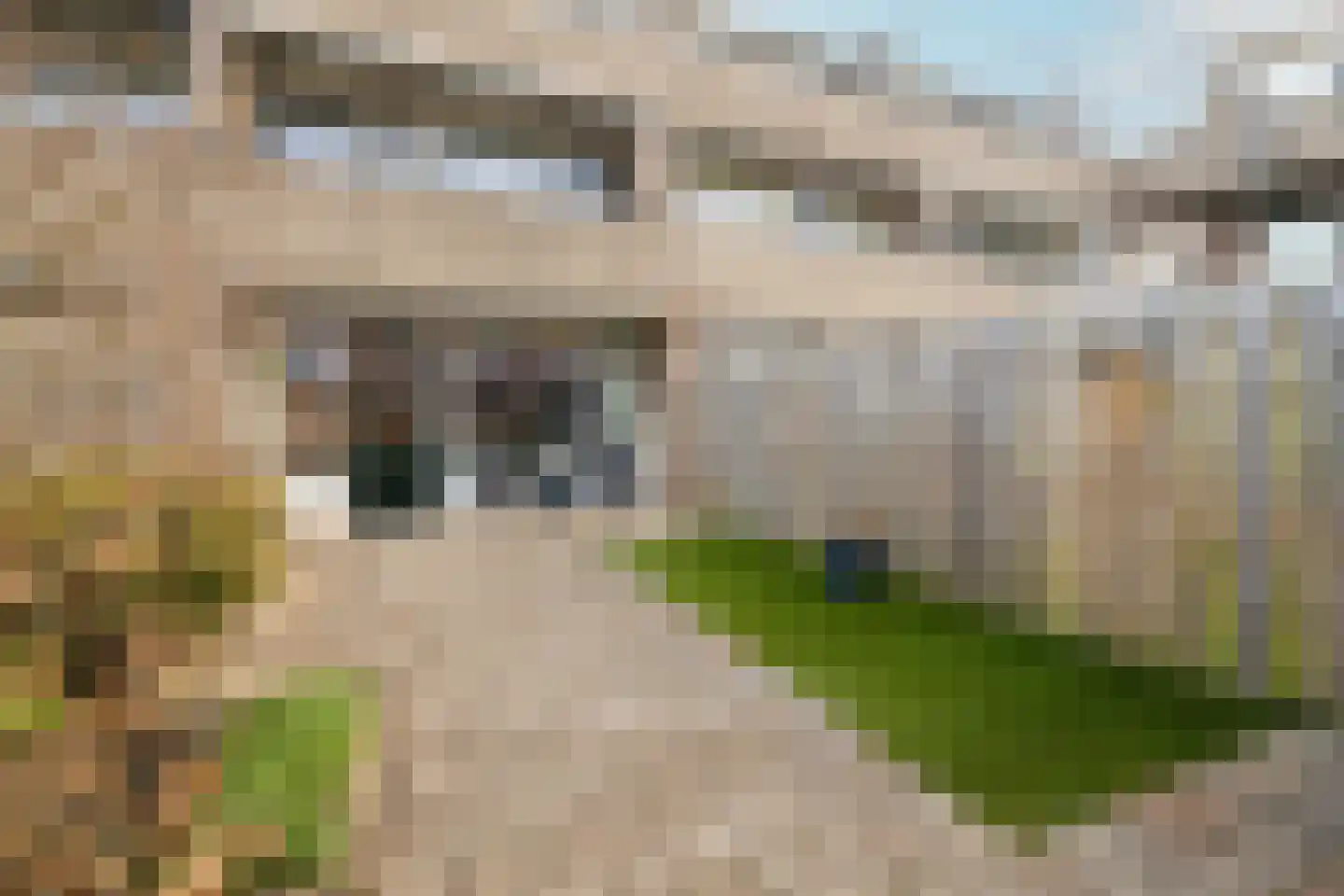 Het Tolland 150 Wateringen thumbnail 23