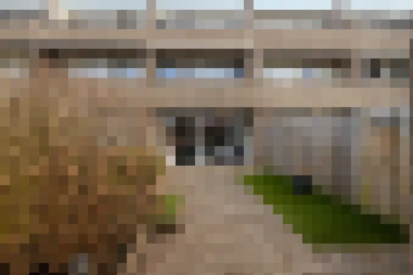 Het Tolland 150 Wateringen thumbnail 24