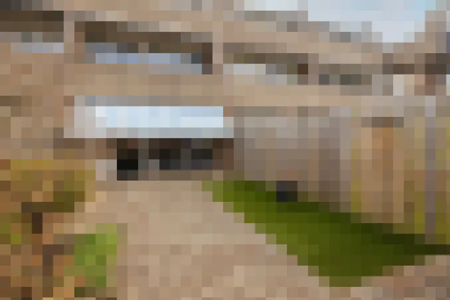 Het Tolland 150 Wateringen thumbnail 27