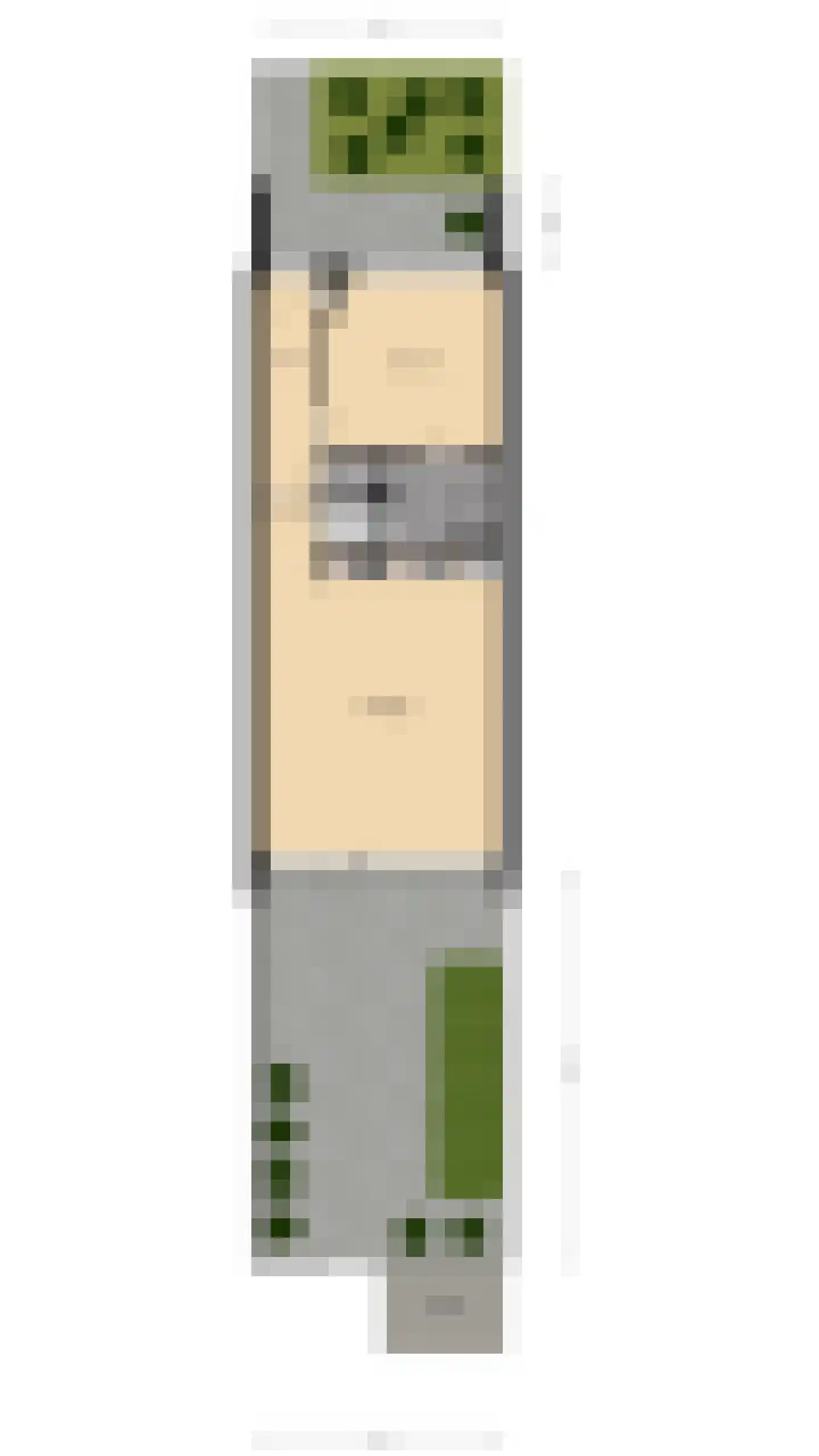 Het Tolland 150 Wateringen thumbnail 35