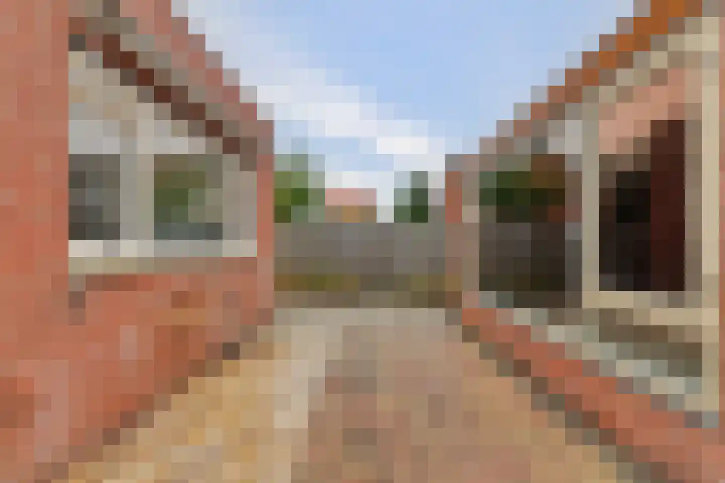 Het Tolland 94 Wateringen thumbnail 30