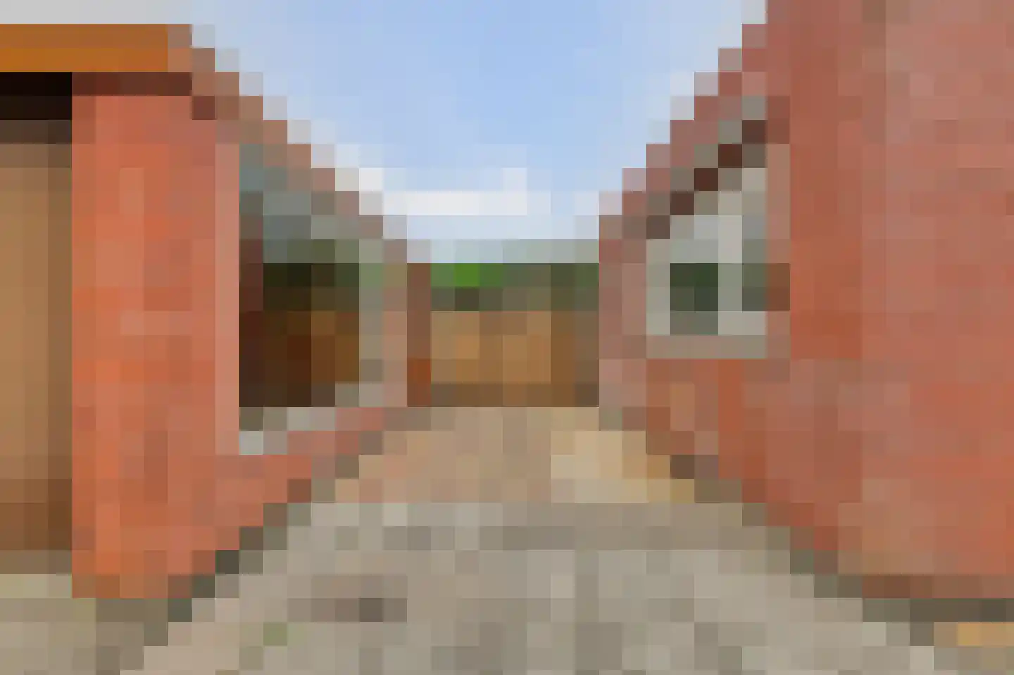 Het Tolland 94 Wateringen thumbnail 31
