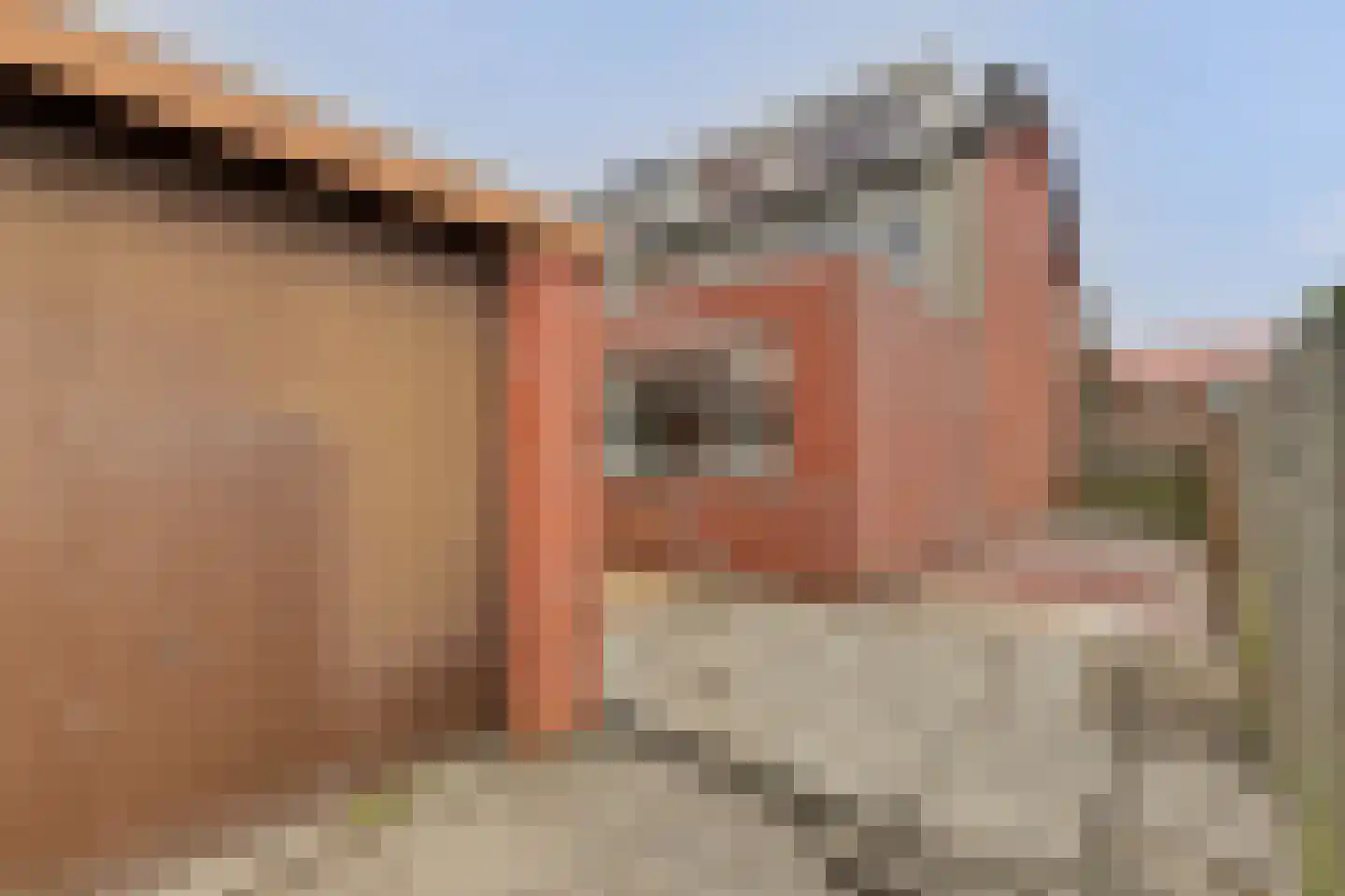 Het Tolland 94 Wateringen thumbnail 32