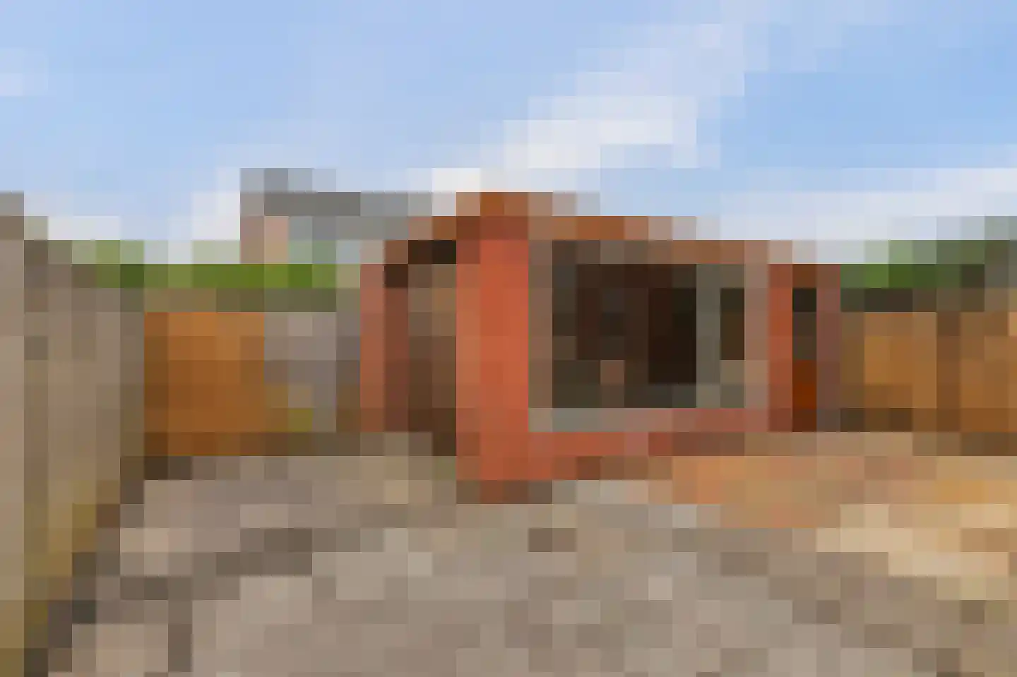 Het Tolland 94 Wateringen thumbnail 33