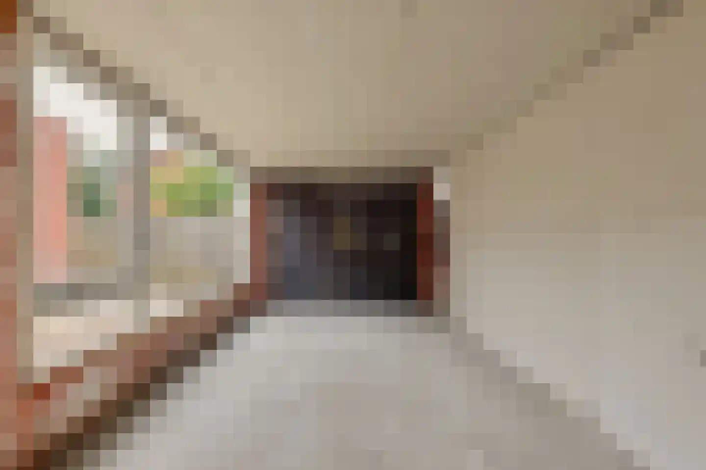 Het Tolland 94 Wateringen thumbnail 36