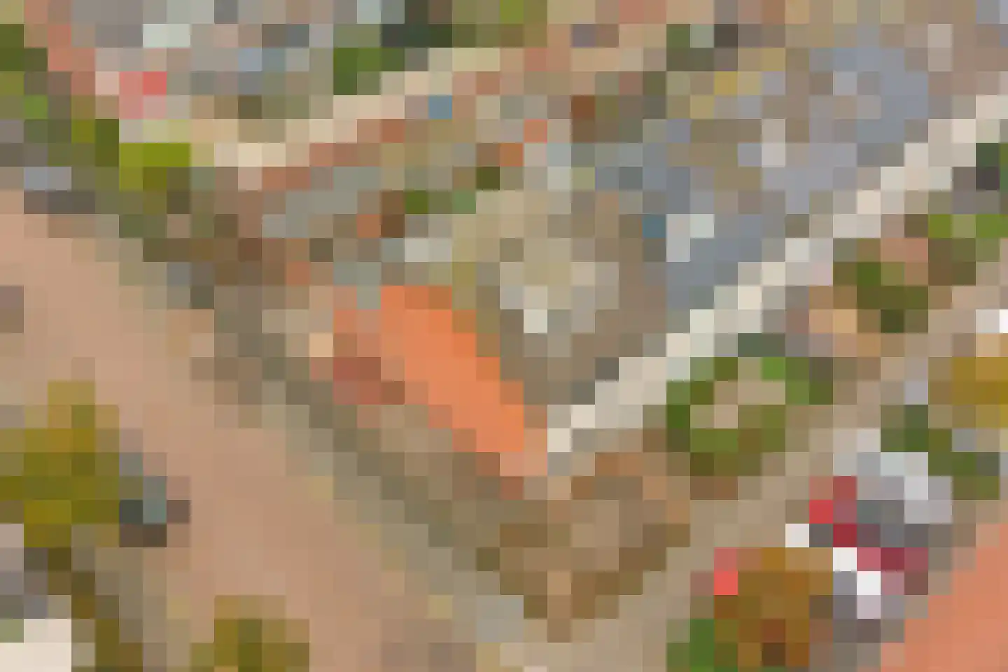 Het Tolland 94 Wateringen thumbnail 45