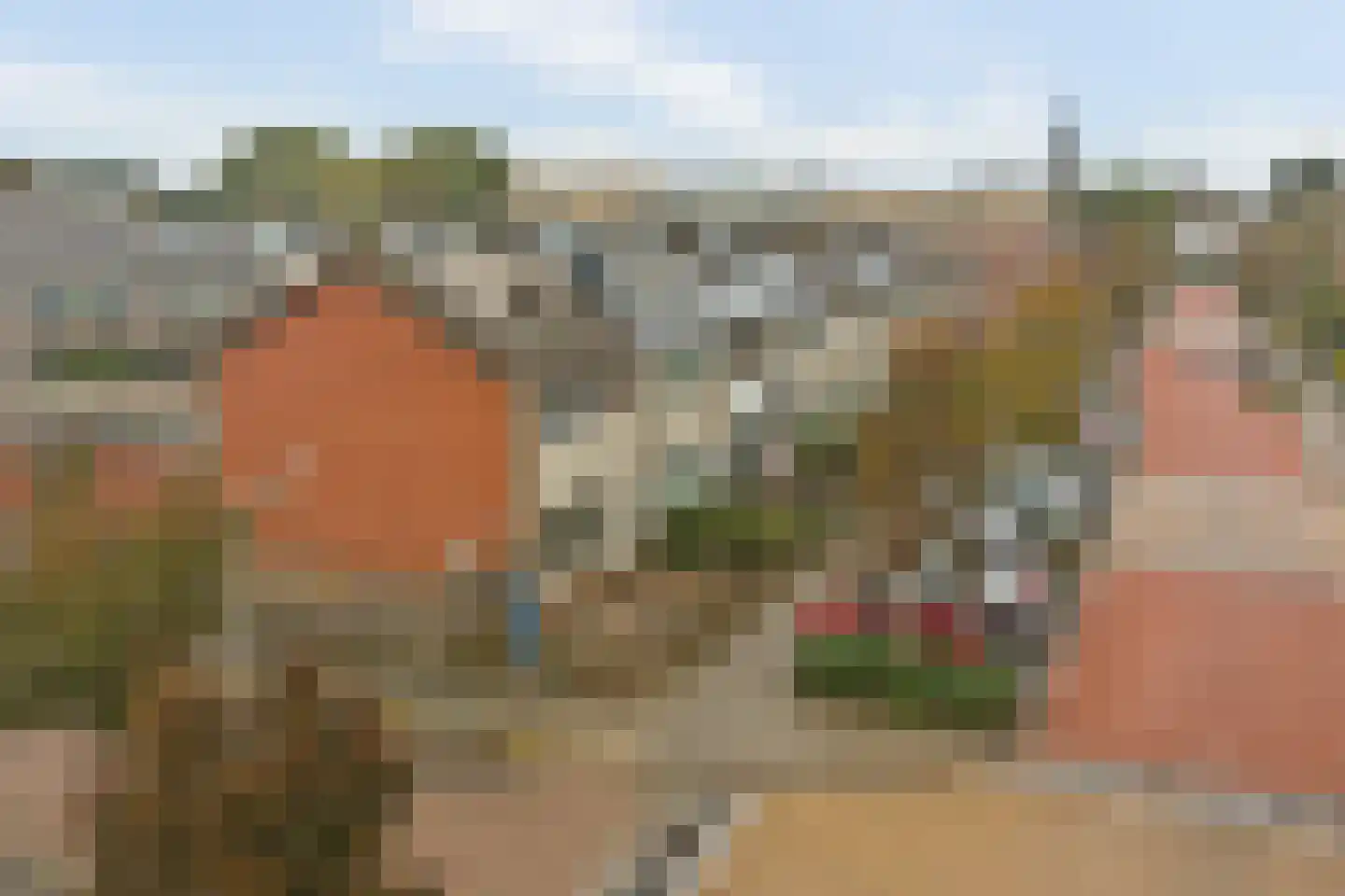 Het Tolland 94 Wateringen thumbnail 46