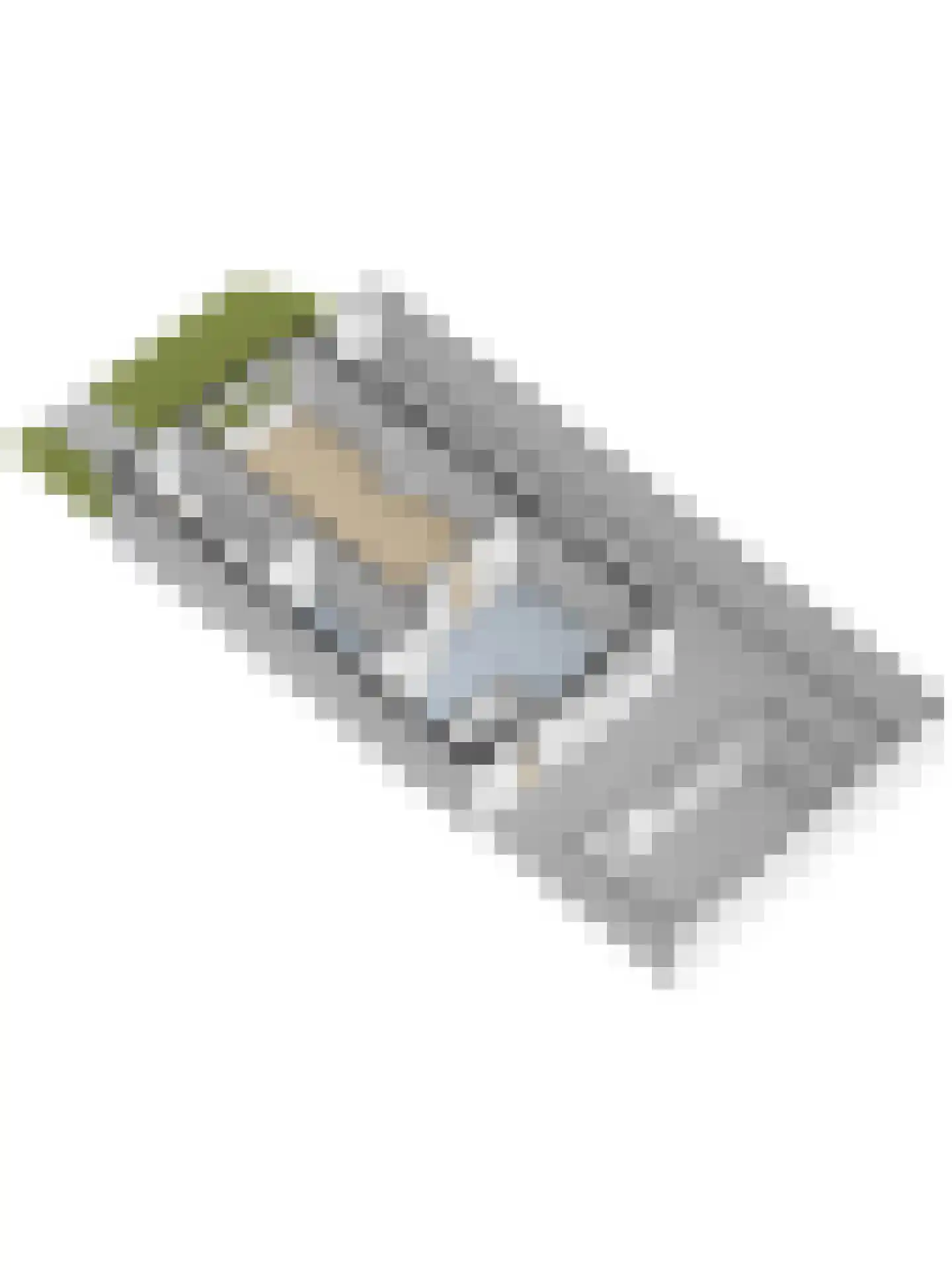 Het Tolland 94 Wateringen thumbnail 59