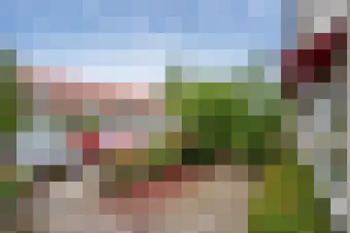 Het Tolland 96 Wateringen thumbnail 25