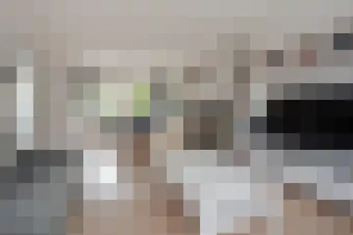 Het Tolland 96 Wateringen thumbnail 8