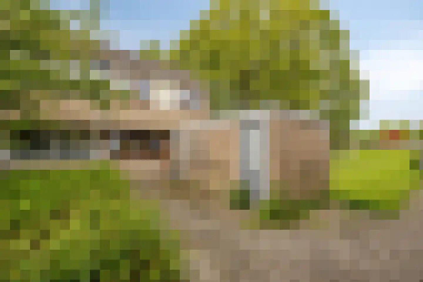 Het Toplicht 23 Dronten