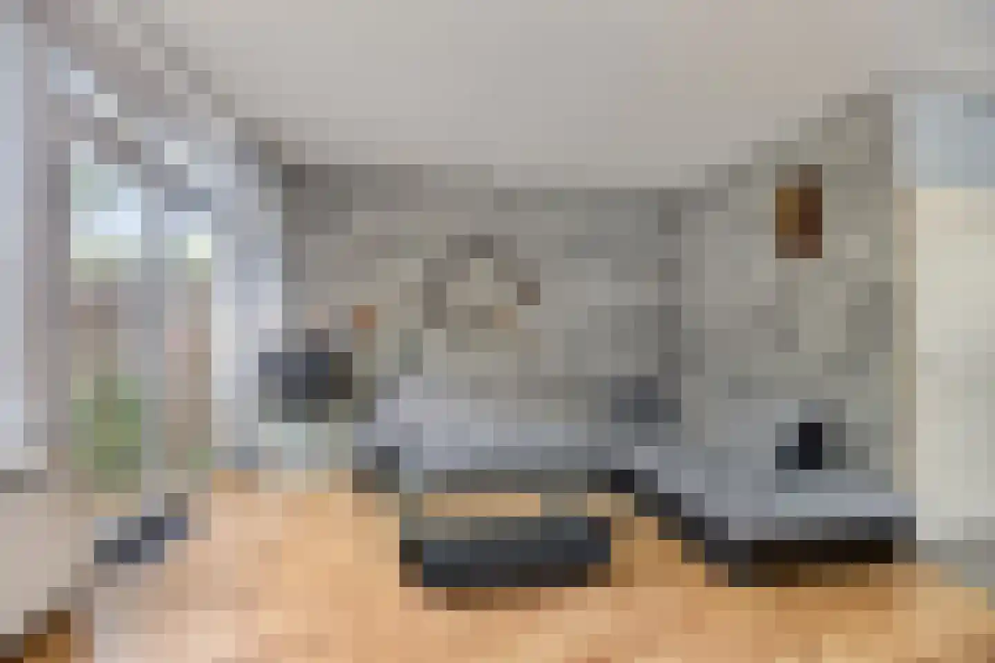 Het Toplicht 23 Dronten thumbnail 10