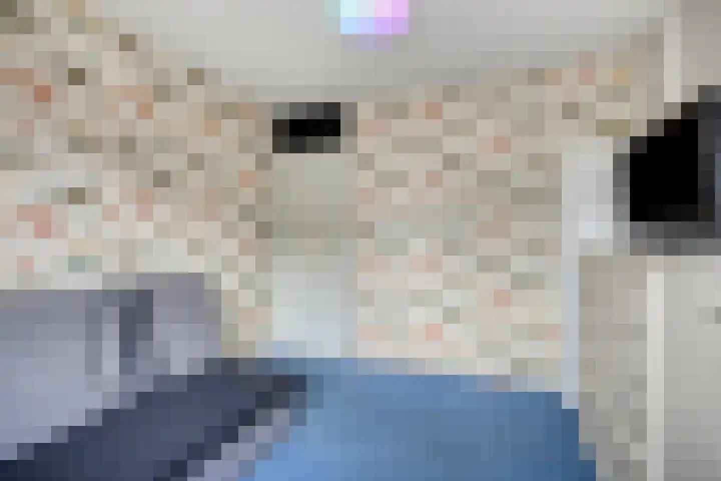 Het Toplicht 23 Dronten thumbnail 24