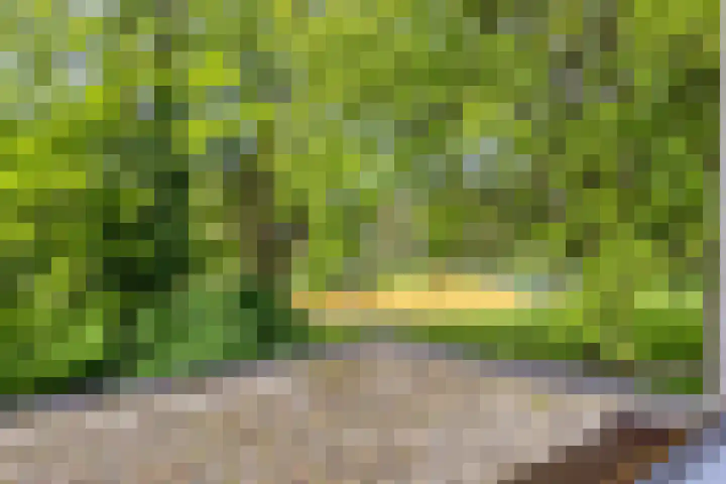 Het Toplicht 23 Dronten thumbnail 28