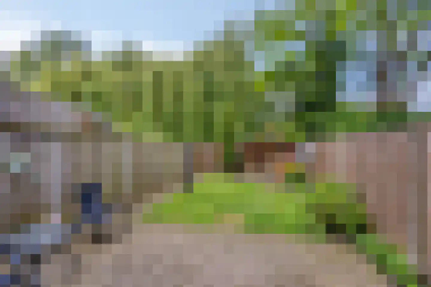 Het Toplicht 23 Dronten thumbnail 29