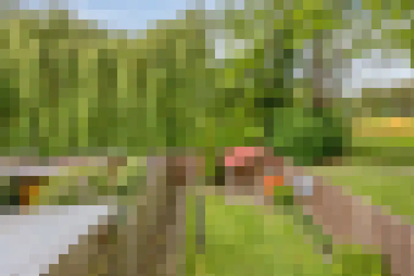 Het Toplicht 23 Dronten foto 3