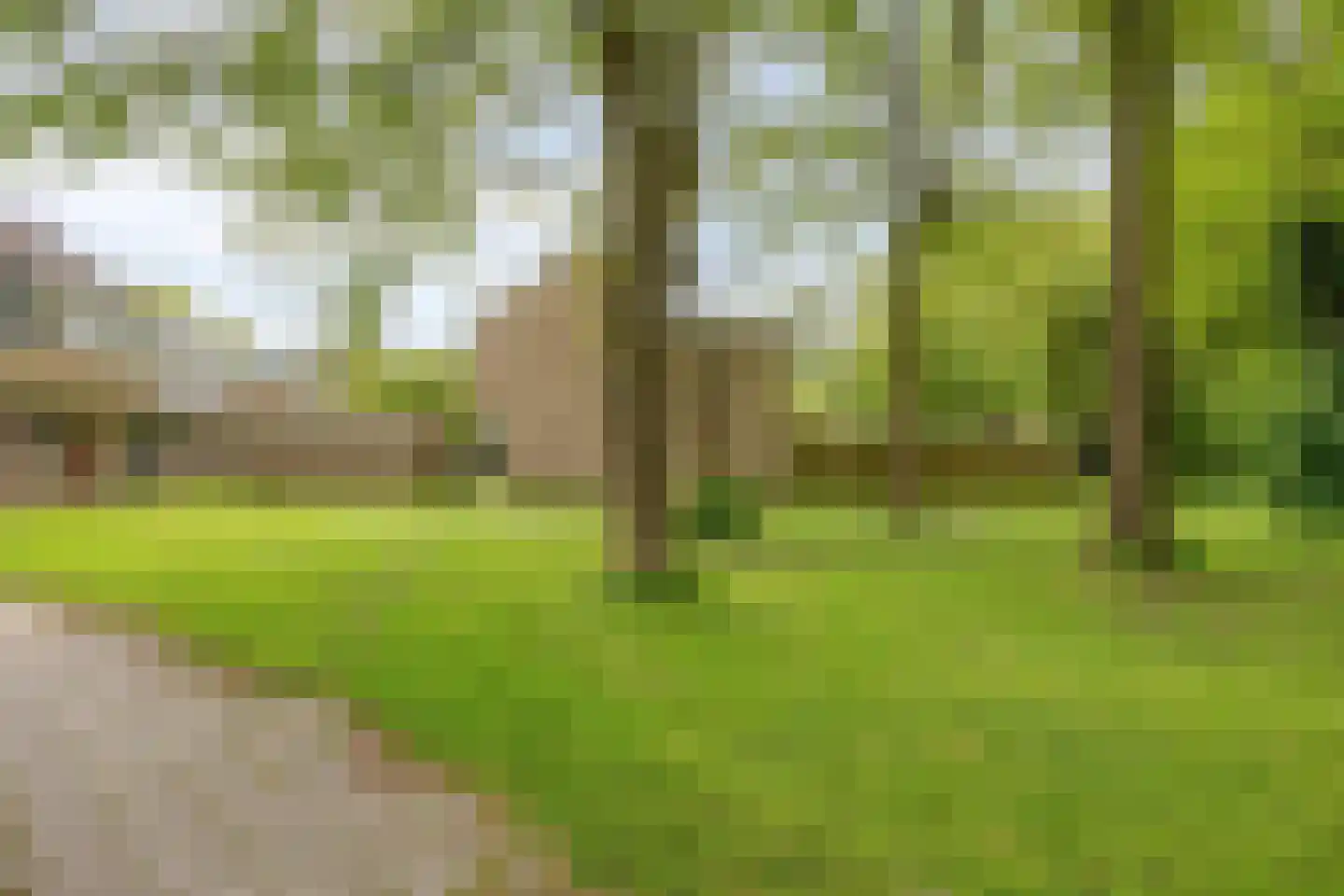 Het Toplicht 23 Dronten thumbnail 34
