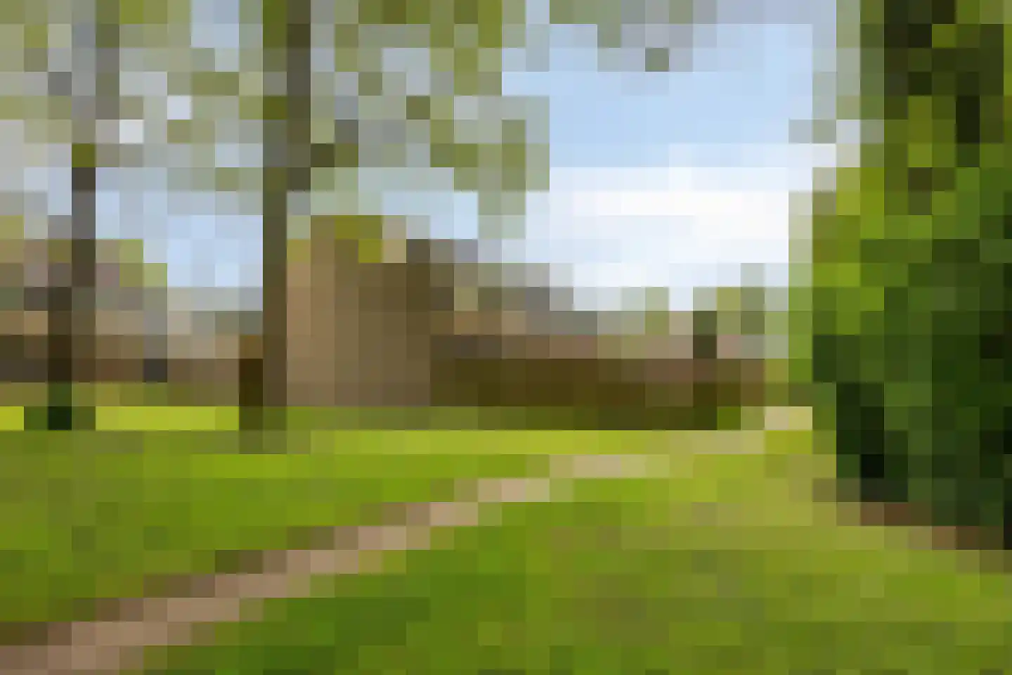 Het Toplicht 23 Dronten thumbnail 35