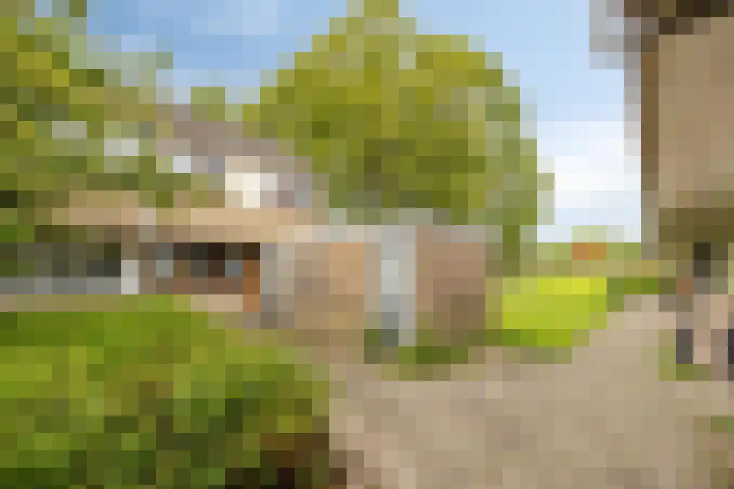 Het Toplicht 23 Dronten thumbnail 5