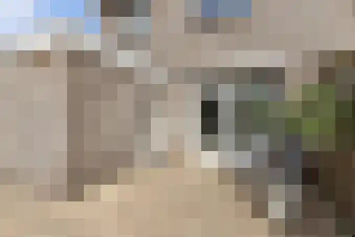Het Trek 12 Echtenerbrug thumbnail 24