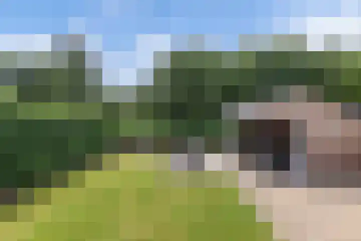 Het Trek 12 Echtenerbrug thumbnail 28