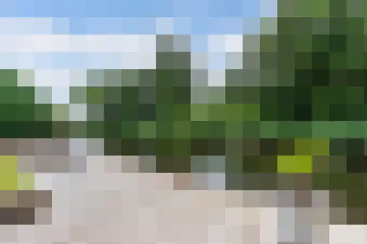 Het Trek 12 Echtenerbrug thumbnail 31