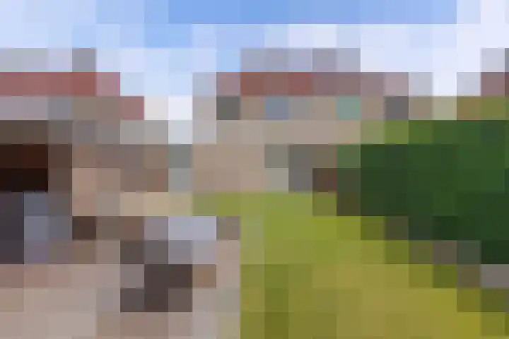 Het Trek 12 Echtenerbrug thumbnail 33