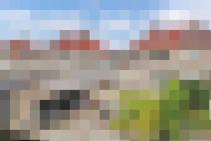 Het Trek 12 Echtenerbrug thumbnail 5
