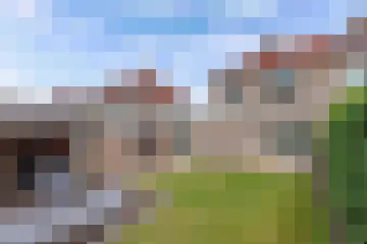 Het Trek 12 Echtenerbrug thumbnail 54