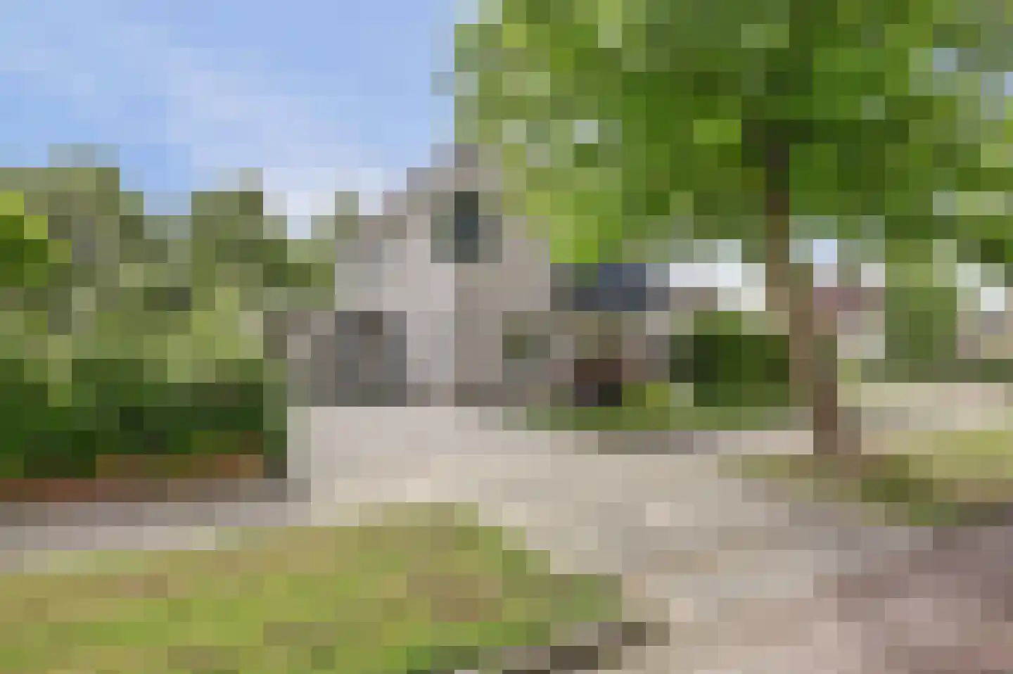 Het Vaandel 2 in Swifterbant