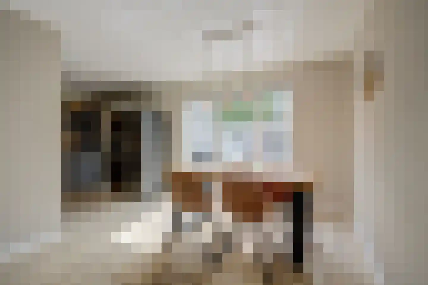 Het Vaandel 2 Swifterbant thumbnail 11