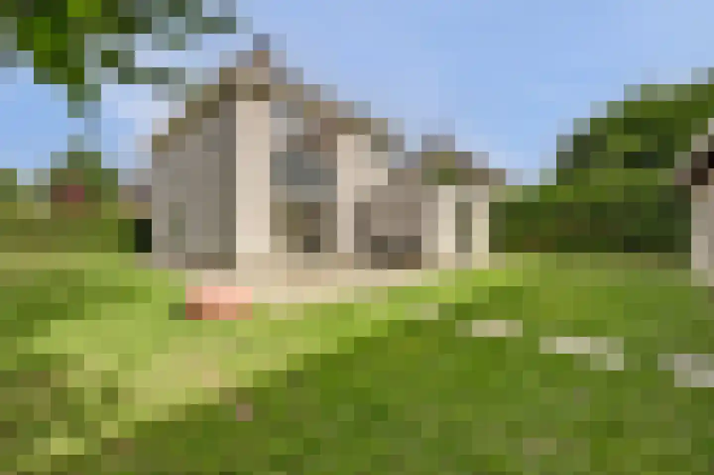 Het Vaandel 2 Swifterbant foto 2