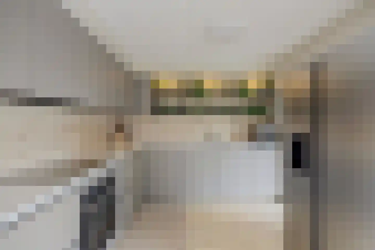 Het Vaandel 2 Swifterbant foto 3