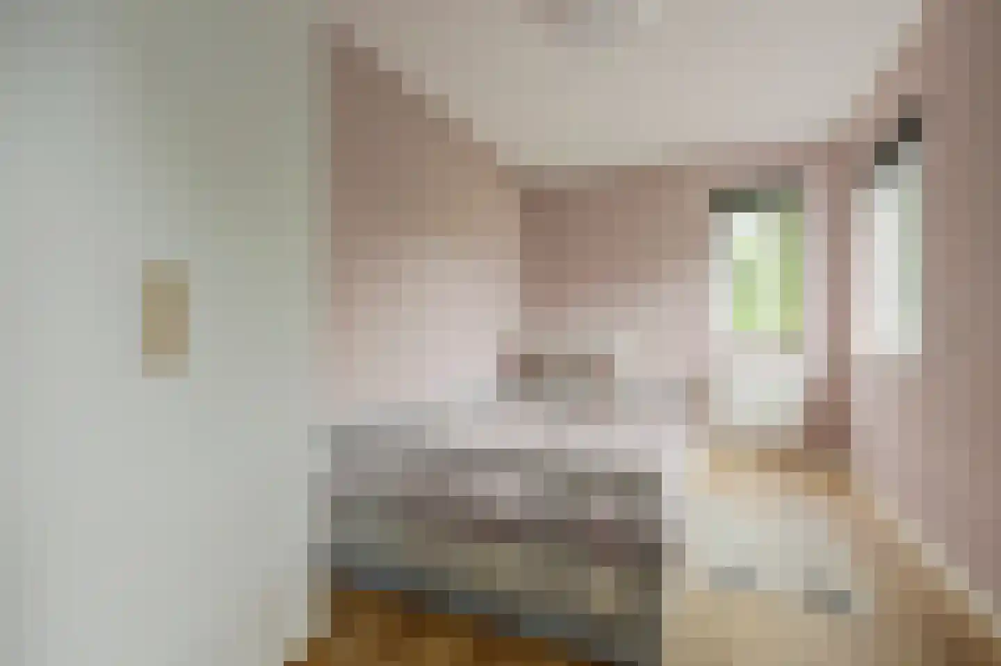 Het Vaandel 2 Swifterbant thumbnail 32
