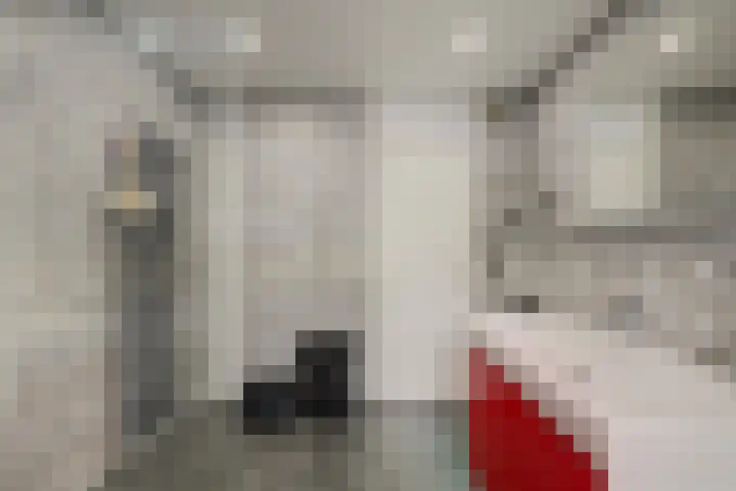Het Vaandel 2 Swifterbant thumbnail 35