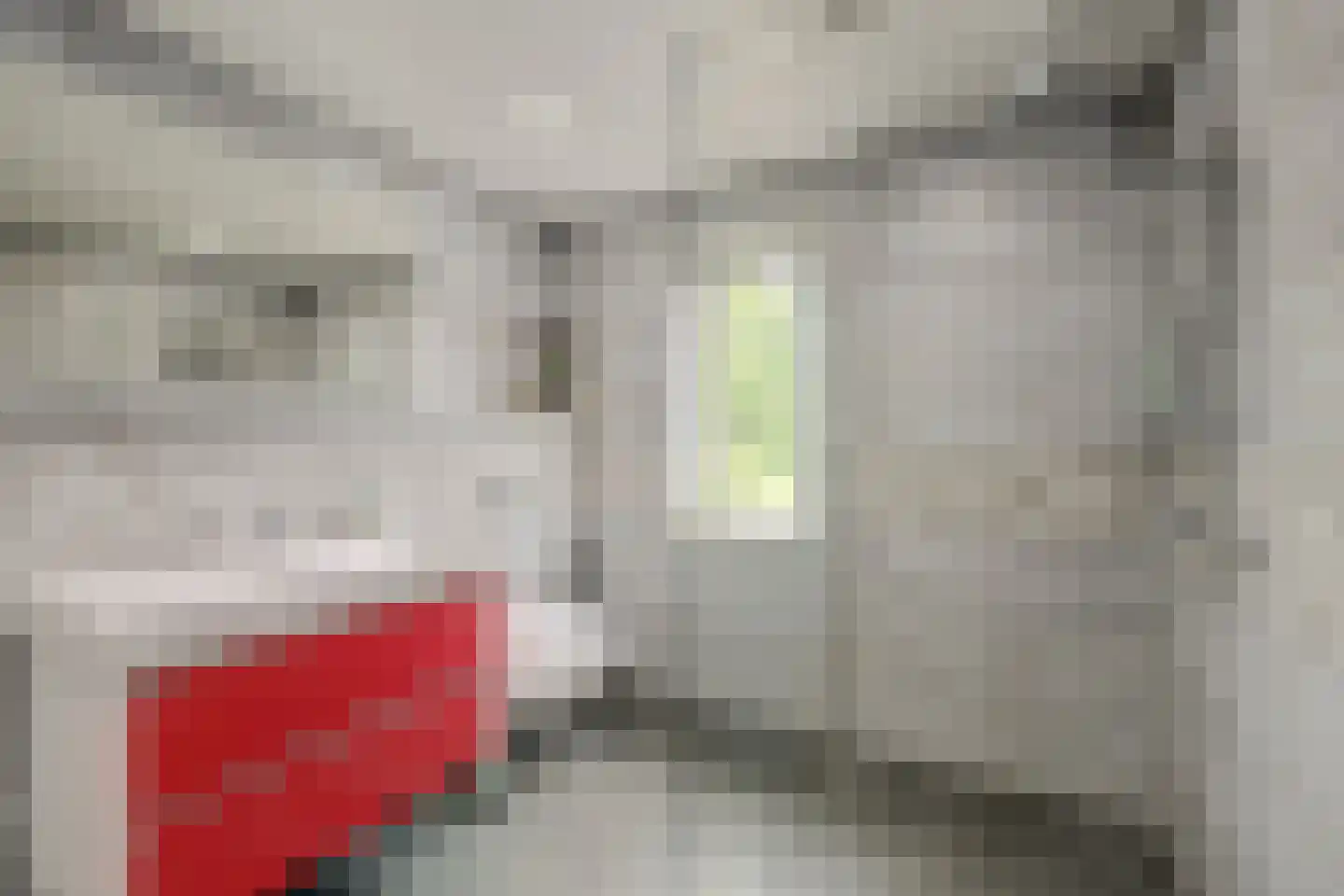 Het Vaandel 2 Swifterbant thumbnail 36