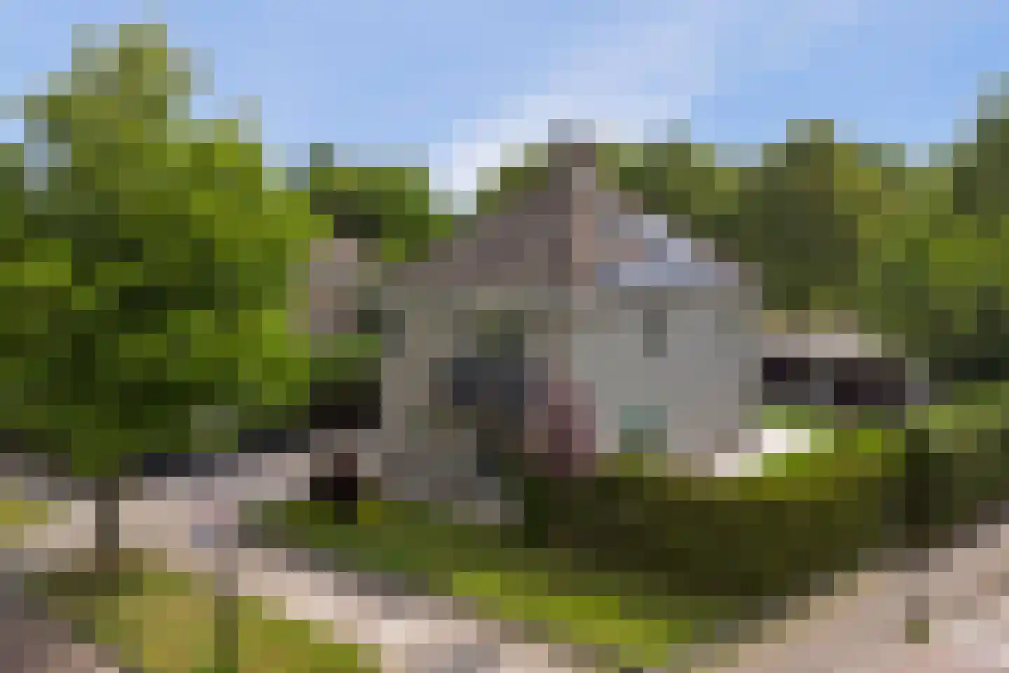 Het Vaandel 2 Swifterbant thumbnail 45