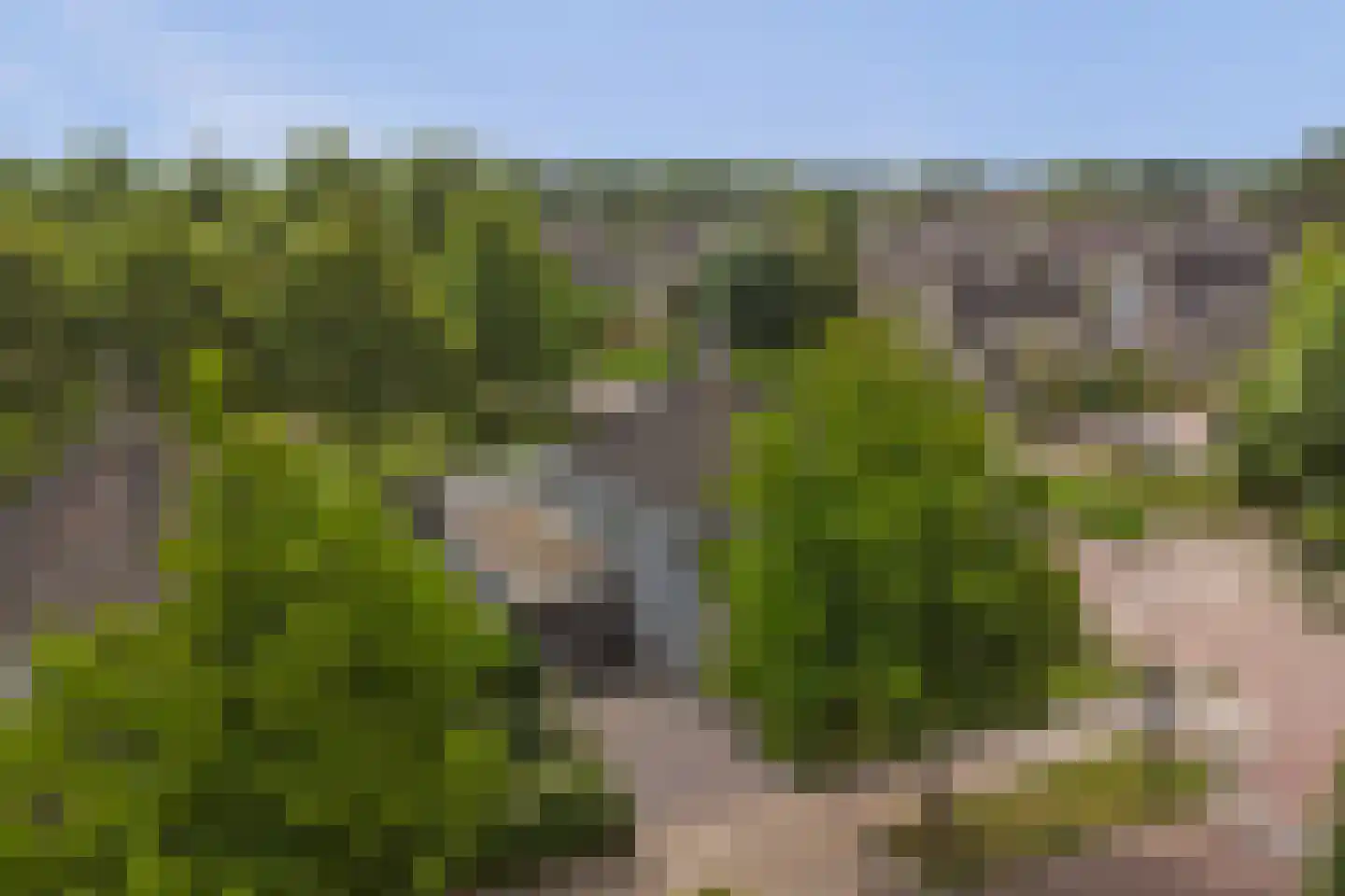 Het Vaandel 2 Swifterbant thumbnail 49
