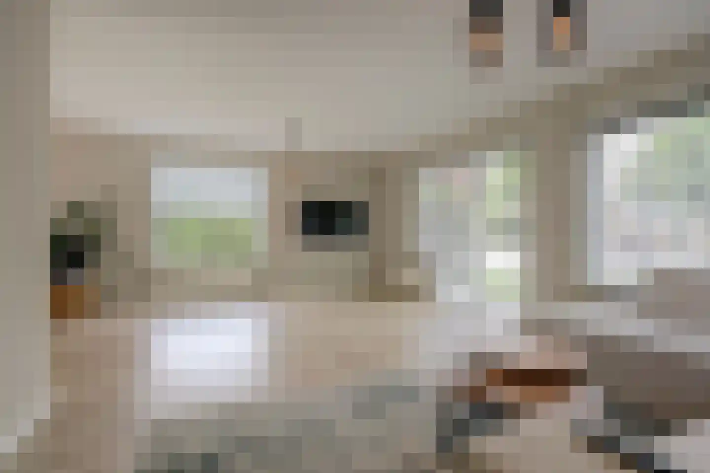 Het Vaandel 2 Swifterbant thumbnail 5