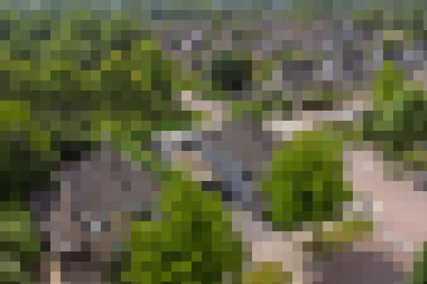 Het Vaandel 2 Swifterbant thumbnail 51