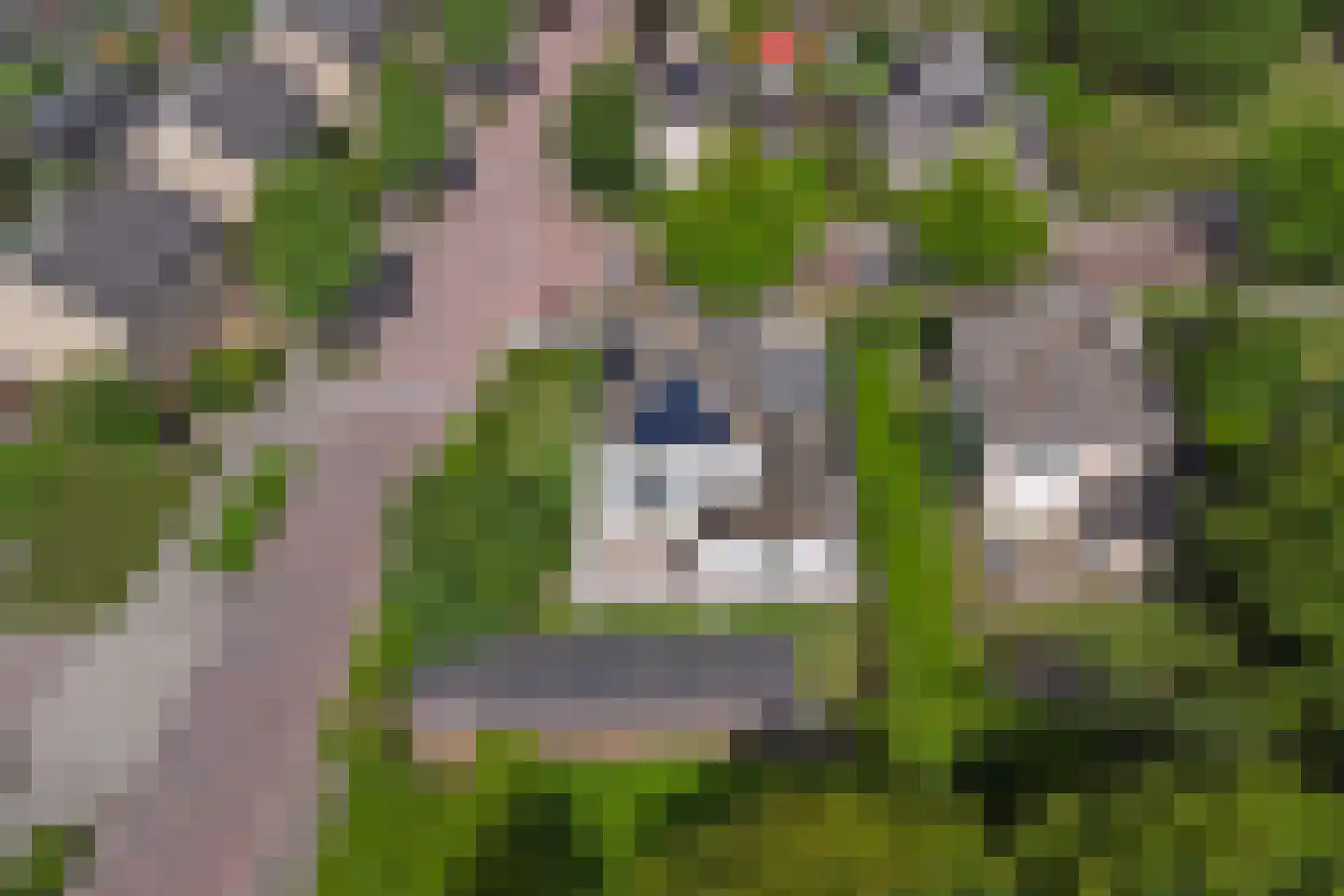 Het Vaandel 2 Swifterbant thumbnail 53