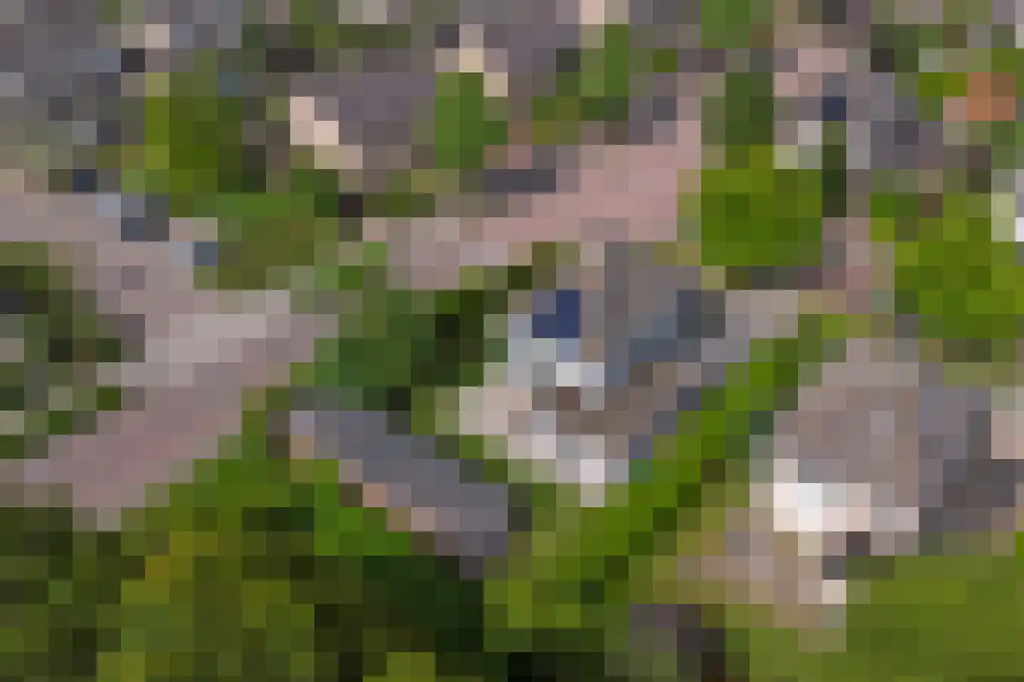 Het Vaandel 2 Swifterbant thumbnail 54
