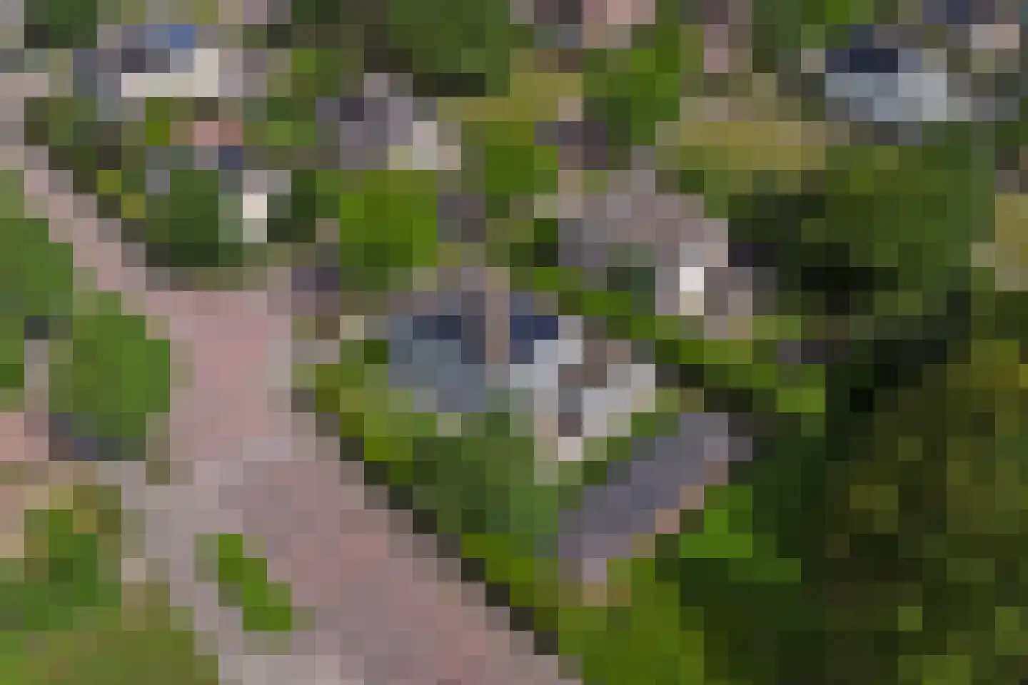 Het Vaandel 2 Swifterbant thumbnail 55