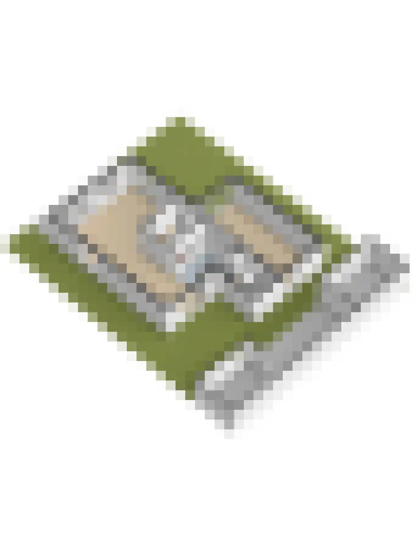 Het Vaandel 2 Swifterbant thumbnail 61