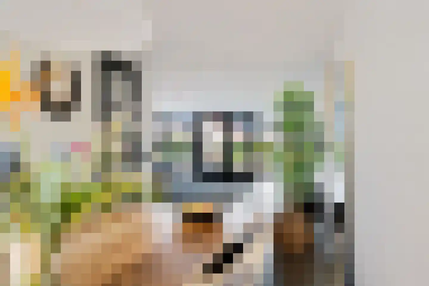 het Vallaat 14 Sneek thumbnail 14
