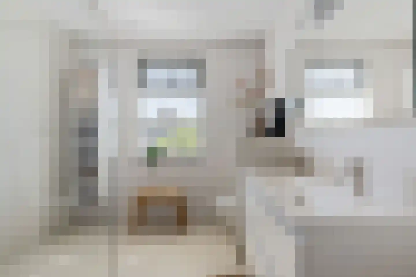 het Vallaat 14 Sneek thumbnail 16
