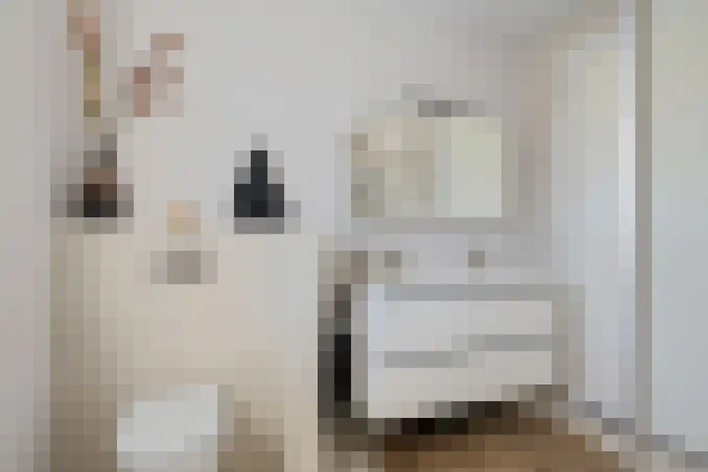 het Vallaat 14 Sneek thumbnail 18