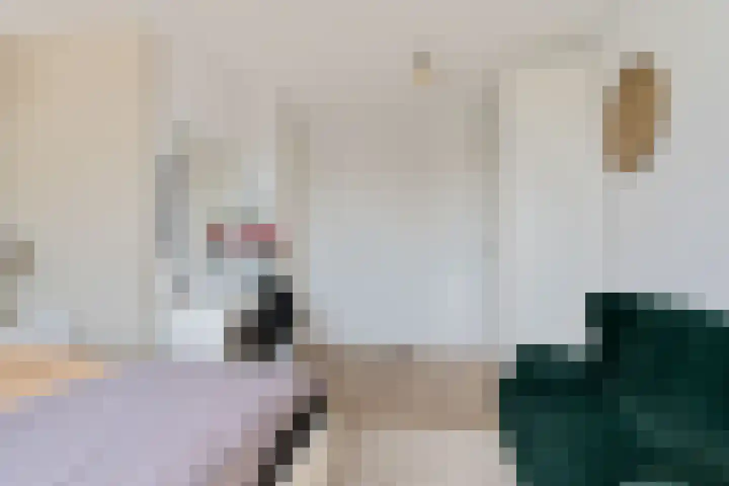 het Vallaat 14 Sneek thumbnail 24